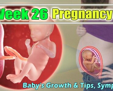 26 WEEKS PREGNANCY SYMPTOMS, BABY’S GROWTH, AND BEST  HEALTHY PREGNANCY TIPS