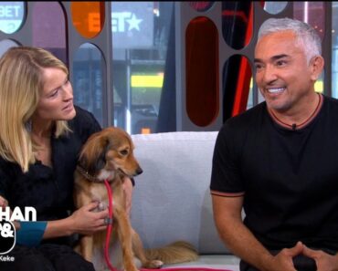 Cesar Millan Reveals The Biggest Mistake Dog Owners Make