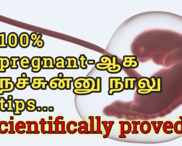 விரைவில் கர்ப்பமாக சிறந்த 4 வழிகள் | Fast pregnancy tips in tamil.