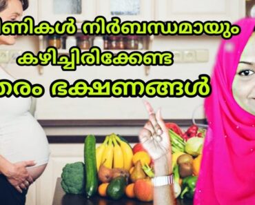 Malayalam Pregnancy Tips- ഗർഭകാലത്തെ ഭക്ഷണ ശീലങ്ങൾ.