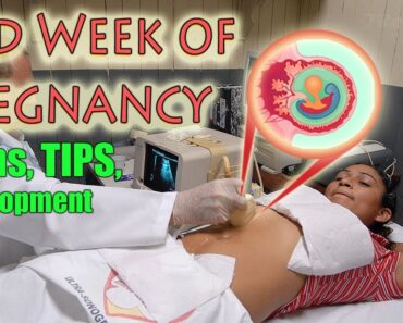 3rd Week of Pregnancy – The Growths, Changes and Tips To A Healthy Pregnancy.