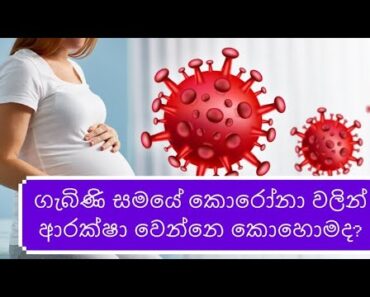 Coronavirus (COVID-19) and pregnancy – ගැබිණි සමයේ කොරෝනා වලින් ආරක්ෂා වෙන්නෙ කොහොමද.? – Dr. Vijith