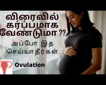 How to get pregnant fast in Tamil | Pregnancy tips | steps to getting Pregnancy