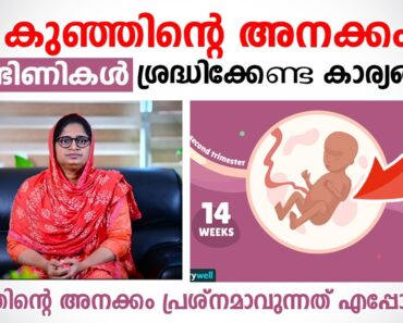 കുഞ്ഞിന്റെ അനക്കം ഗർഭിണികൾ ശ്രദ്ധിക്കേണ്ട കാര്യങ്ങൾ | Pregnancy Tips Malayalam