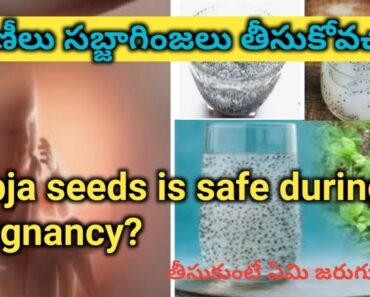 is it good to have sabja seeds during pregnancy/basil seeds