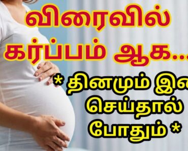 Pregnancy Tips in Tamil | How to Pregnant Fast | Steps to getting pregnant | Women's care