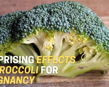 Surprising Effects of Broccoli For Pregnant Women