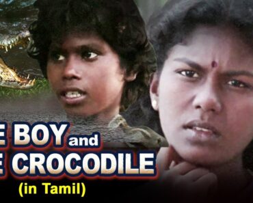 The Boy & The Crocodile Full Movie | Children's Tamil Movie | Animals Short Movies