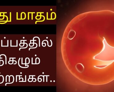 கர்ப்பத்தின் முதல் மாதம் கரு வளர்ச்சி | First month pregnancy tamil | Pregnancy first month tamil |