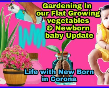 My Daily Routine Newborn baby update,Gardening In Our Flat Tips,Life in a Day Vlog |SuperPrincessjo