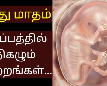 Second month pregnancy in tamil | 2nd month pregnancy in tamil | Pregnancy baby growth in tamil |