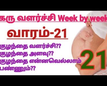 21 Week Pregnancy Symtoms in Tamil || Pregnancy Stages week by Week || 21 th week Baby Development