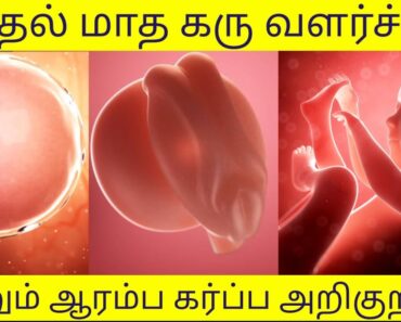 First month baby growth and symptoms in tamil | Baby growth first month and pregnancy symptoms tamil
