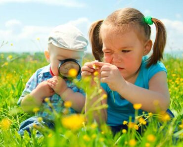 11 Facts, Functions, Pictures And Parts Of A Flower For Kids