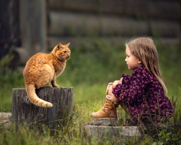 100+ Interesting Information And Facts About Cats For Kids