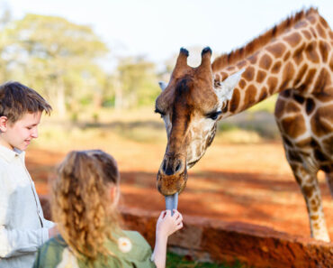 33 Informative And Fun Facts About Giraffes For Kids