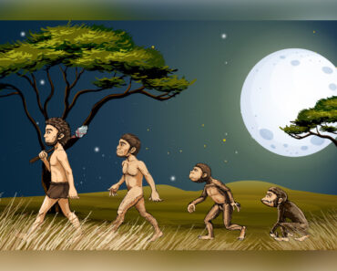 30 Evolution Facts, Timeline And Definition For Kids