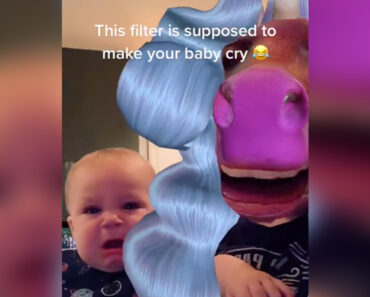 Using this TikTok horse-face filter on babies isn’t funny—it’s cruel