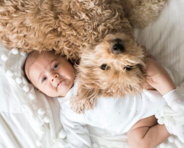 Exposing Babies to Dogs and Cats
