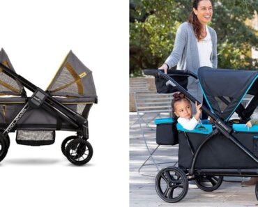 Best Wagon Stroller 2023 – Today’s Parent