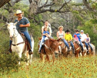 Best Family Resorts in Texas 2023