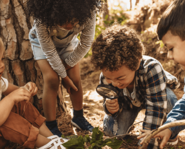 5 Fun Tips for Teaching Kids about Wildlife Conservation