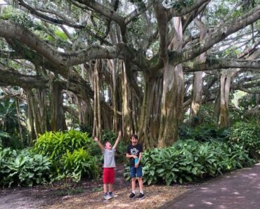 How to Plan an Epic Family Trip to Orlando