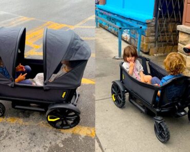 Best Kids Wagon 2023 – Today’s Parent